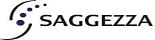 Saggezza India Pvt Ltd